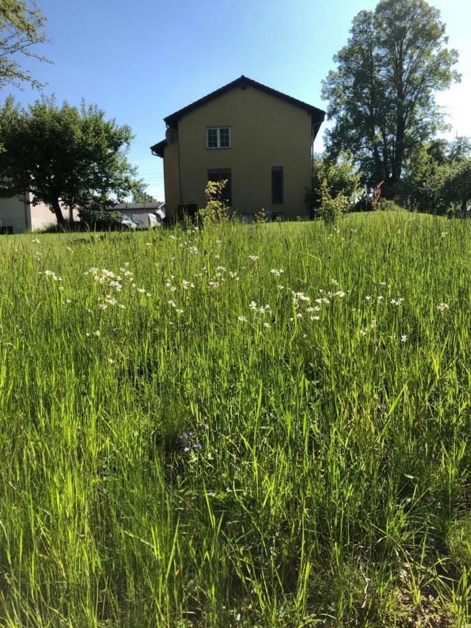 Seeblick Apartments Muehlau Luaran gambar